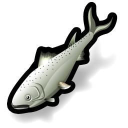 salmon_fish icon