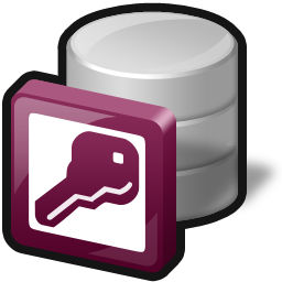 access icon