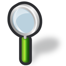 zoom icon