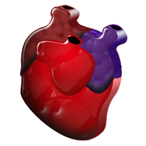 cardiology icon
