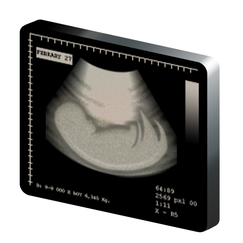 obstetrics icon