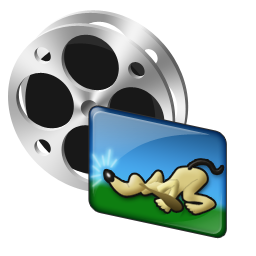video_image icon