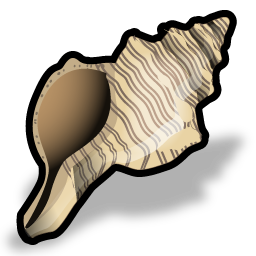 conch icon