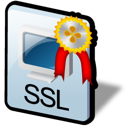 ssl_certificate icon
