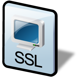 ssl icon