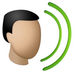 voice icon