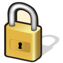 security icon