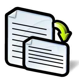 orientation icon