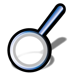 zoom icon