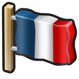 flag_france icon