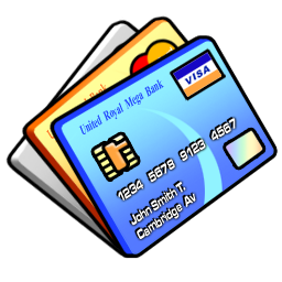 visa icon