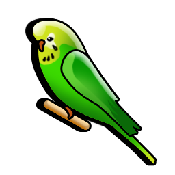 australian_parakeet icon