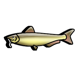 catfish icon