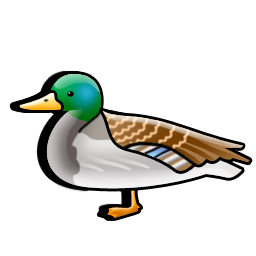 duck icon