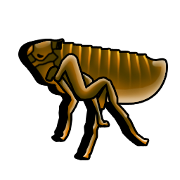 flea icon