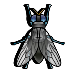 fly icon