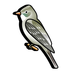 flycatcher_bird icon