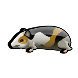 guinea_pig icon