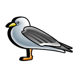 gull icon