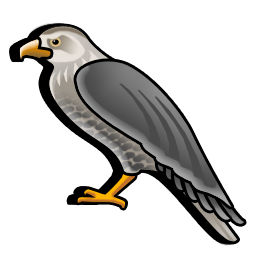 hawk icon