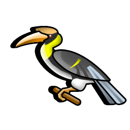 hornbill_bird icon