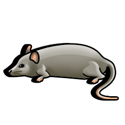 mouse icon