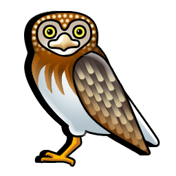owl icon