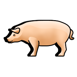 pig icon