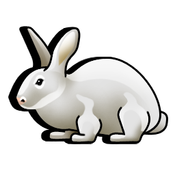 rabbit icon