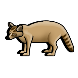 raccoon icon