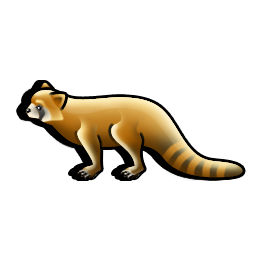 red_panda icon