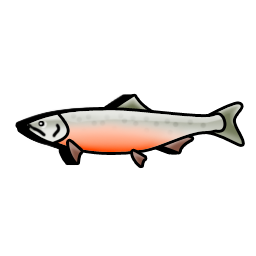 salmon_fish icon