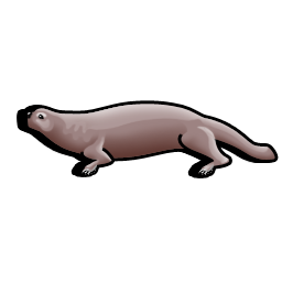 sea_otter icon