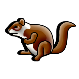 squirrel icon