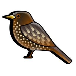 starling_bird icon