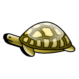 tortoise icon