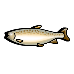 trout_fish icon