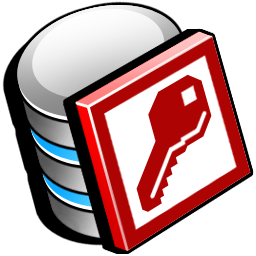 access icon