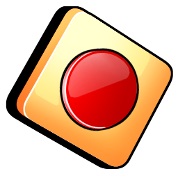 record icon