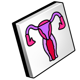 gynecology icon