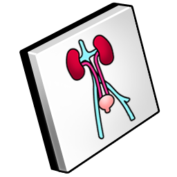 urology icon