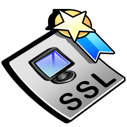 ssl_certificate icon