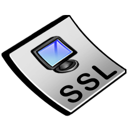 ssl icon
