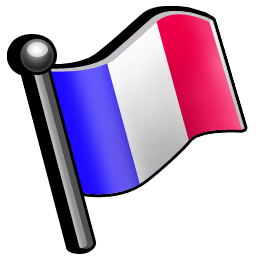 flag_france icon