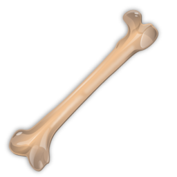 bone icon