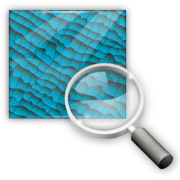 show_texture icon