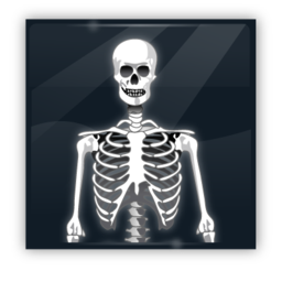 skeleton icon