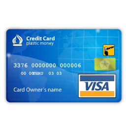 visa icon