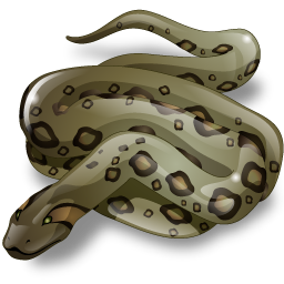 anaconda icon