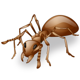 ant icon
